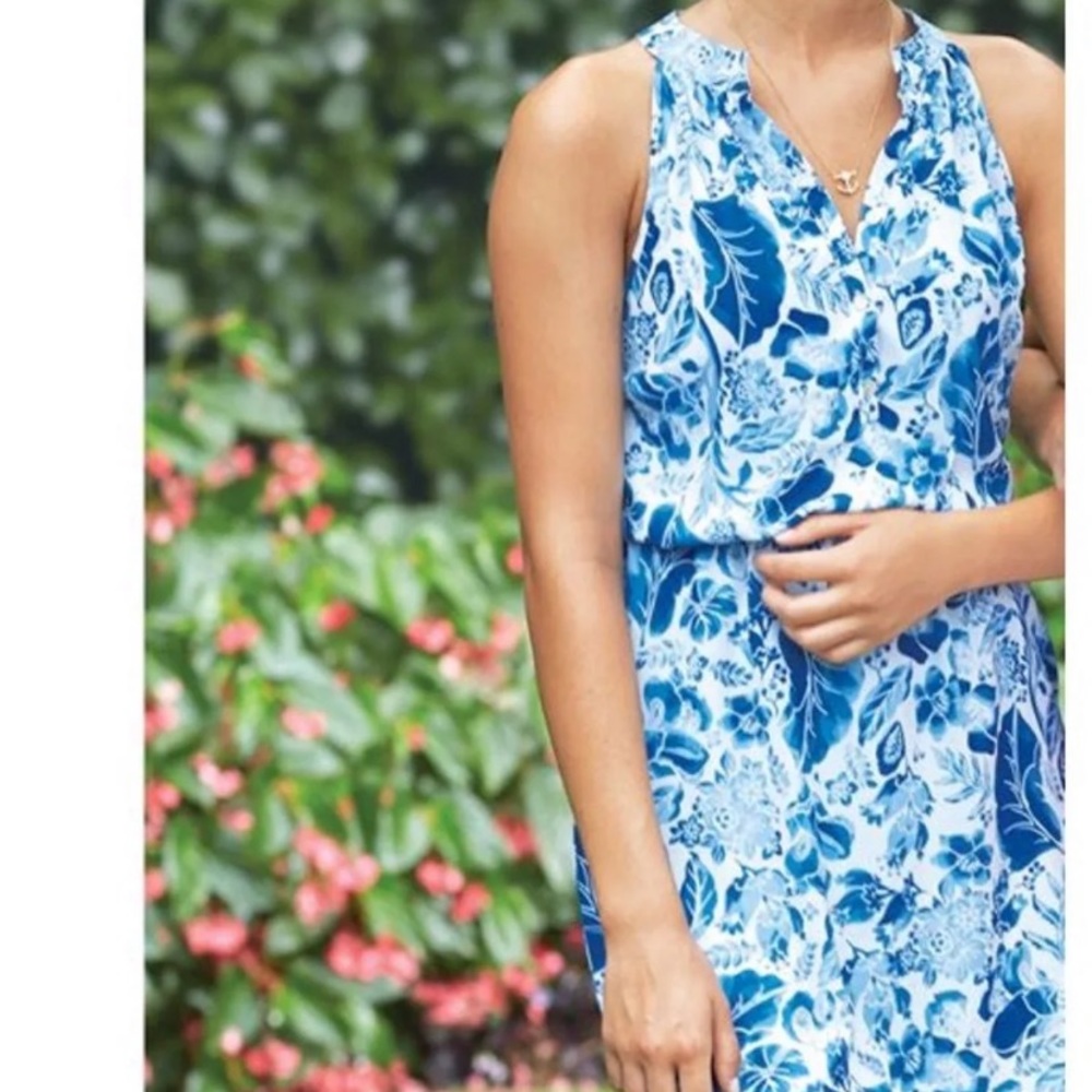 Blue and white Mudpie dress